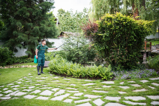 Best Best Pest Control Companies  in Edgewood, NM