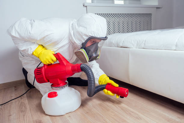 Best Pest Prevention Services  in Edgewood, NM