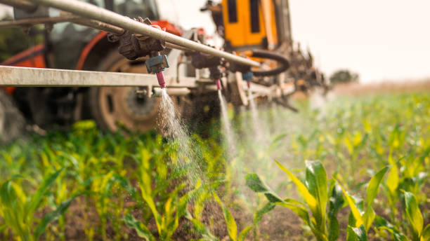 Best Ant Control Services  in Edgewood, NM